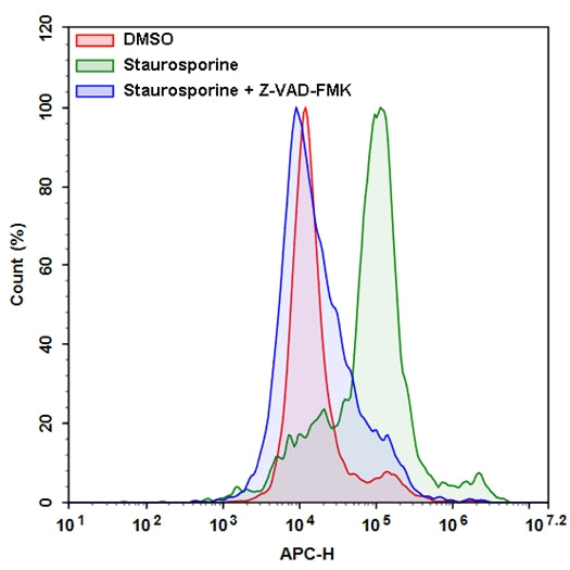 Cell Meter™ Live Cell Caspase 8 Binding Assay Kit *Red Fluorescence* - AAT Bioquest
