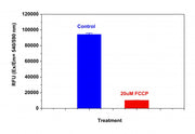 Cell Meter™ Mitochondrion Membrane Potential Assay Kit *Orange Fluorescence Optimized for Microplate Reader* - AAT Bioquest