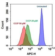 Cell Meter™ Mitochondrion Membrane Potential Assay Kit *Red Fluorescence Optimized for Flow Cytometry* - AAT Bioquest