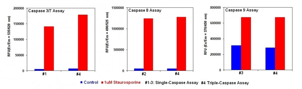 Cell Meter™ Multiplexing Caspase 3/7, 8 and 9 Activity Assay Kit *Triple Fluorescence Colors* - AAT Bioquest