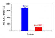 Cell Meter™ NIR Mitochondrion Membrane Potential Assay Kit *Optimized for Microplate Reader* - AAT Bioquest