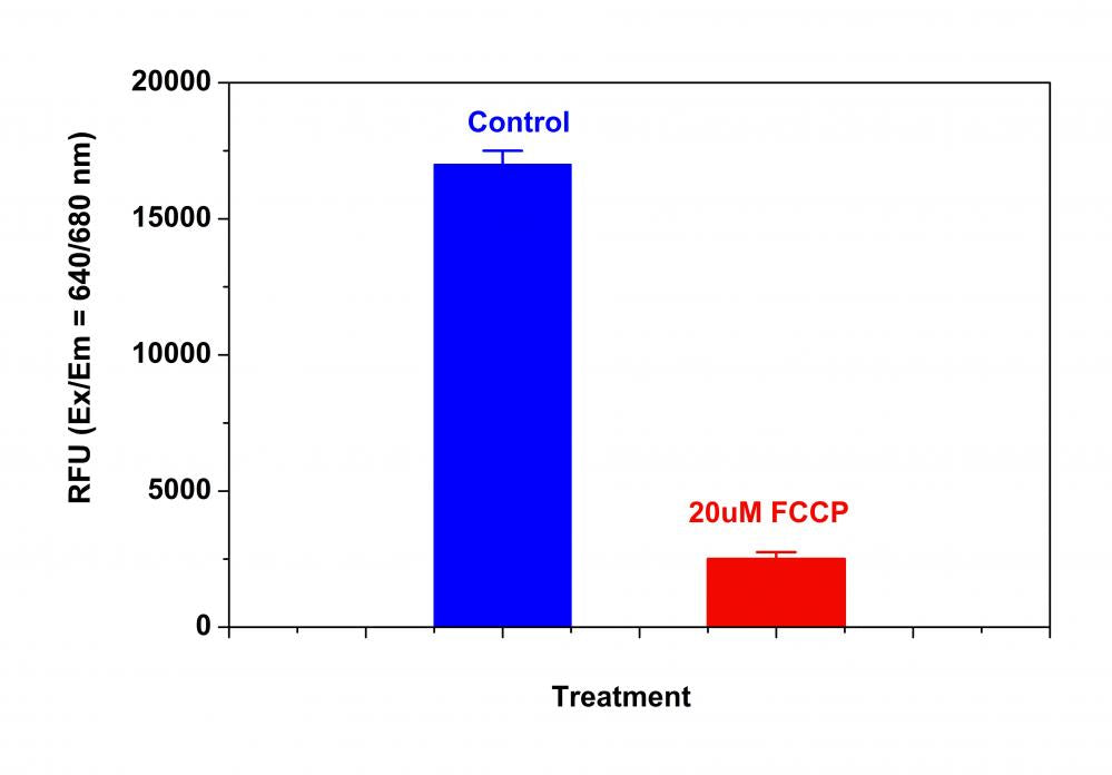 Cell Meter™ NIR Mitochondrion Membrane Potential Assay Kit *Optimized for Microplate Reader* - AAT Bioquest