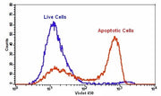 Cell Meter™ Phosphatidylserine Apoptosis Assay Kit *Blue Fluorescence Excited at 405 nm* - AAT Bioquest