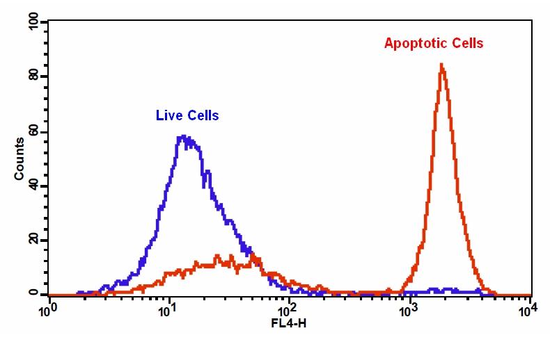 Cell Meter™ Phosphatidylserine Apoptosis Assay Kit *Deep Red Fluorescence Optimized for Flow Cytometry* - AAT Bioquest