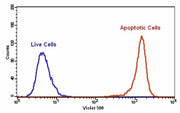 Cell Meter™ Phosphatidylserine Apoptosis Assay Kit *Green Fluorescence Excited at 405 nm* - AAT Bioquest