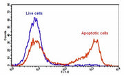 Cell Meter™ Phosphatidylserine Apoptosis Assay Kit *Green Fluorescence Optimized for Flow Cytometry* - AAT Bioquest