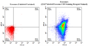 Cell Navigator® Exosome Fluorescence Staining Kit *Orange Fluorescence* - AAT Bioquest