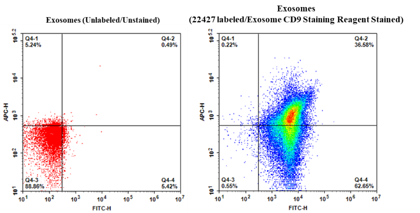 Cell Navigator® Exosome Fluorescence Staining Kit *Orange Fluorescence* - AAT Bioquest