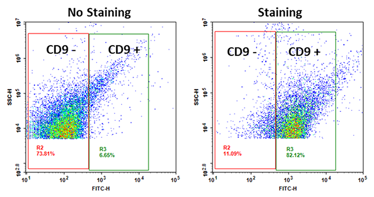 Cell Navigator® Flow Cytometric Exosome Staining Kit - AAT Bioquest