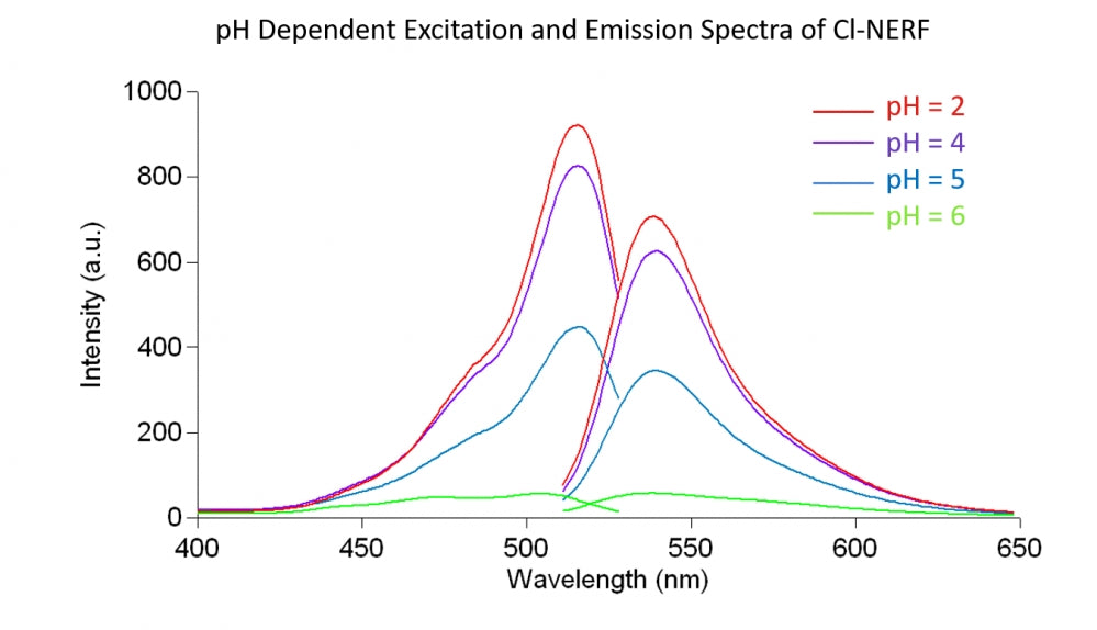 Cl-NERF - AAT Bioquest