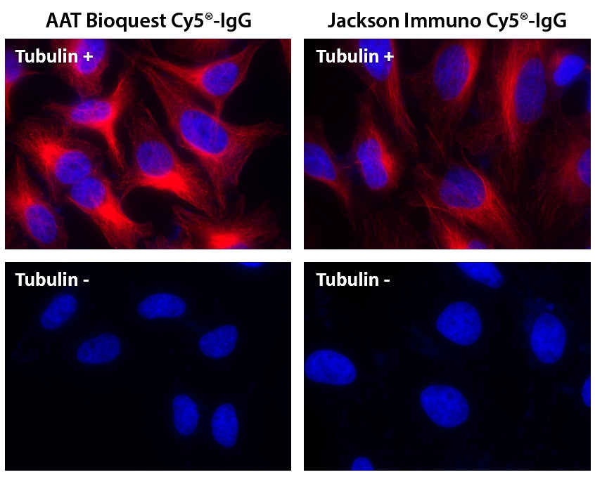 Cy5® goat anti-mouse IgG (H+L) *Cross Adsorbed* - AAT Bioquest