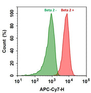 Cy7® goat anti-rabbit IgG (H+L) *Cross Adsorbed* - AAT Bioquest