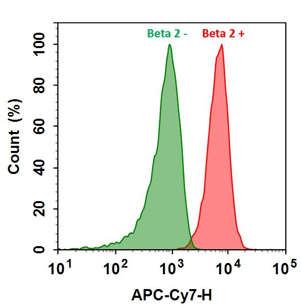 Cy7® goat anti-rabbit IgG (H+L) - AAT Bioquest