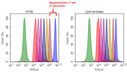 CytoTell® Green - AAT Bioquest