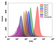 CytoTell® UltraGreen - AAT Bioquest