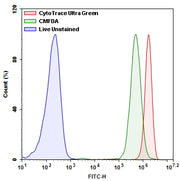 CytoTrace™ Ultra Green - AAT Bioquest