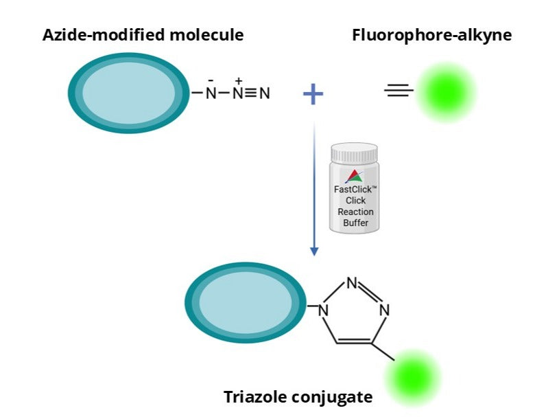 FastClick™ Click Reaction Buffer - AAT Bioquest