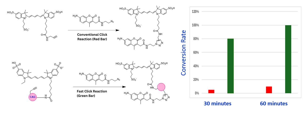 FastClick™ Cy5 Alkyne - AAT Bioquest