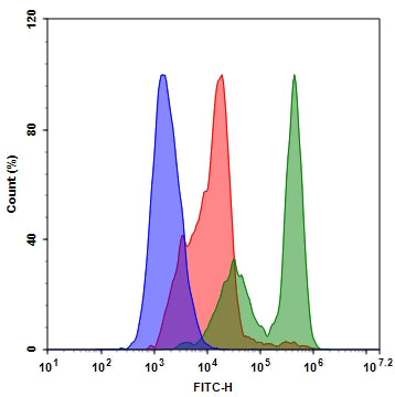 FITC-C6-D(OMe)E(OMe)VD(OMe)-FMK - AAT Bioquest