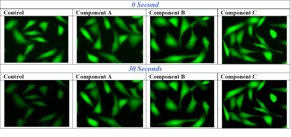 FluoroQuest™ Anti-fading Kit I *Optimized for Slide Imaging* - AAT Bioquest