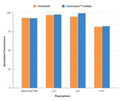 FluoroQuest™ Antifade Mounting Medium - AAT Bioquest