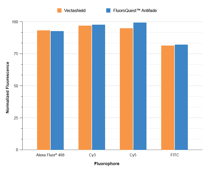 FluoroQuest™ Antifade Mounting Medium - AAT Bioquest