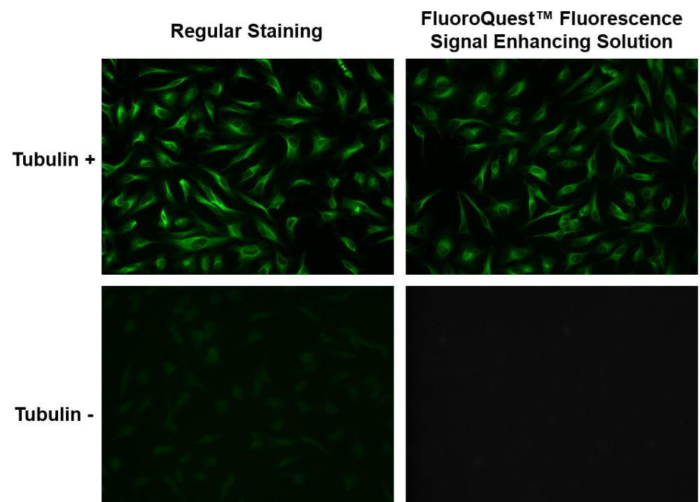 FluoroQuest™ Fluorescence Signal Enhancing Solution - AAT Bioquest