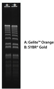 Gelite™ Orange Nucleic Acid Gel Staining Kit - AAT Bioquest