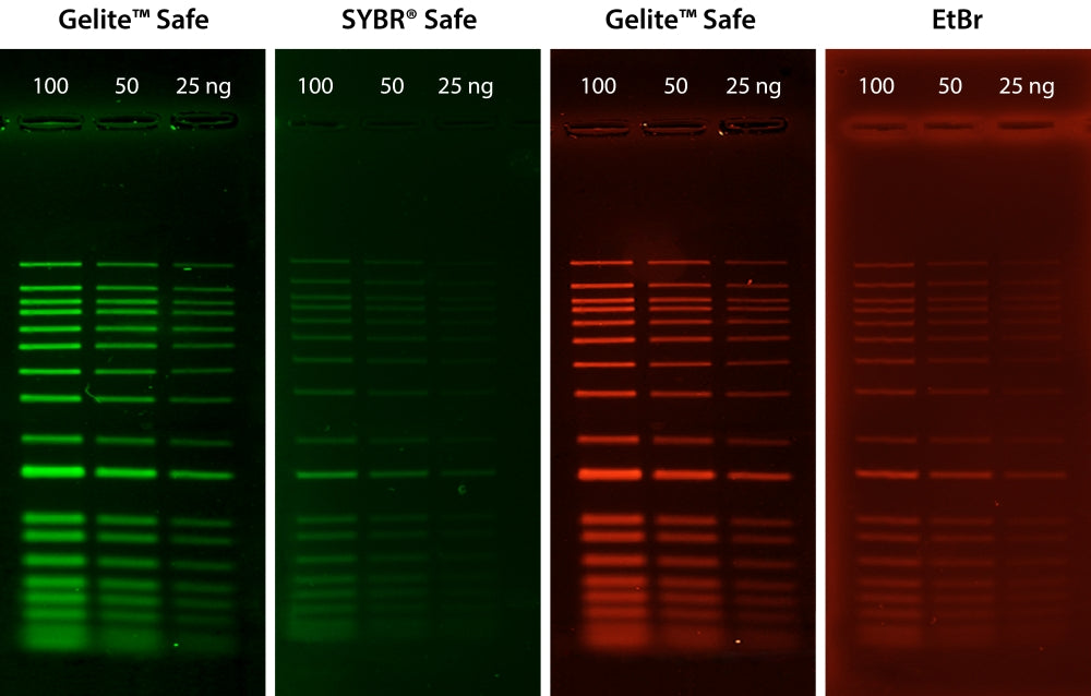Gelite™ Safe DNA Gel Stain *10,000X DMSO Solution* - AAT Bioquest
