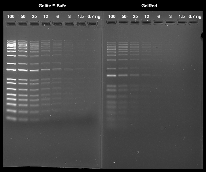 Gelite™ Safe DNA Gel Stain *GelRed Replacement, 10,000X in water* - AAT Bioquest
