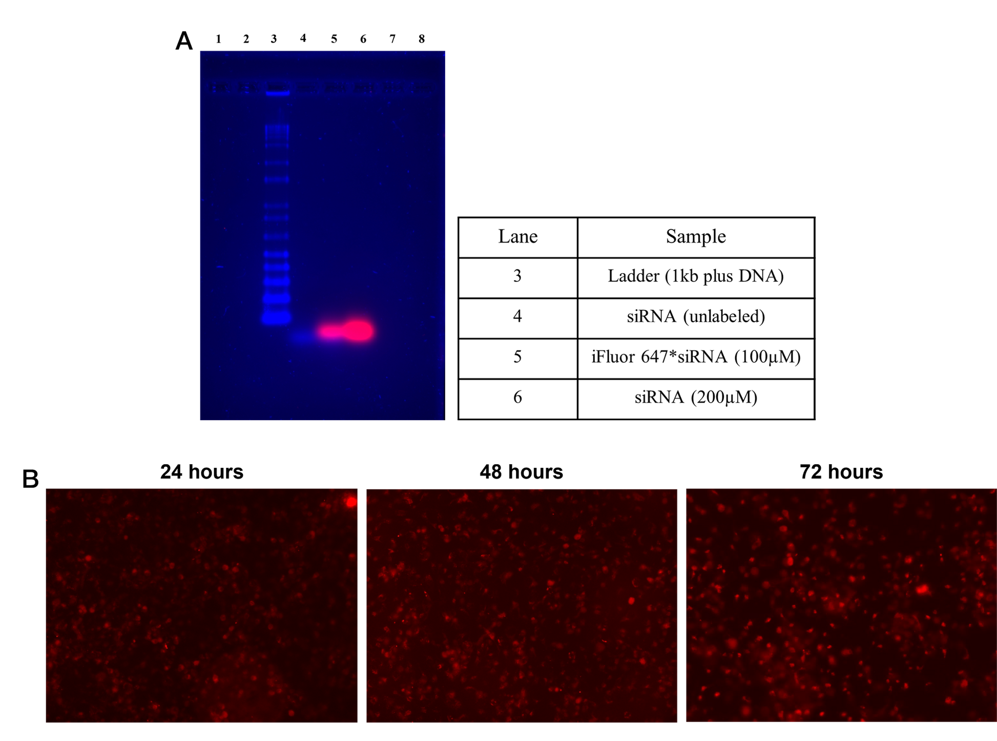 Helixyte™ iFluor® 647 Nucleic Acid Labeling Dye *Optimized for Labeling 100-300 ug DNA/RNA* - AAT Bioquest