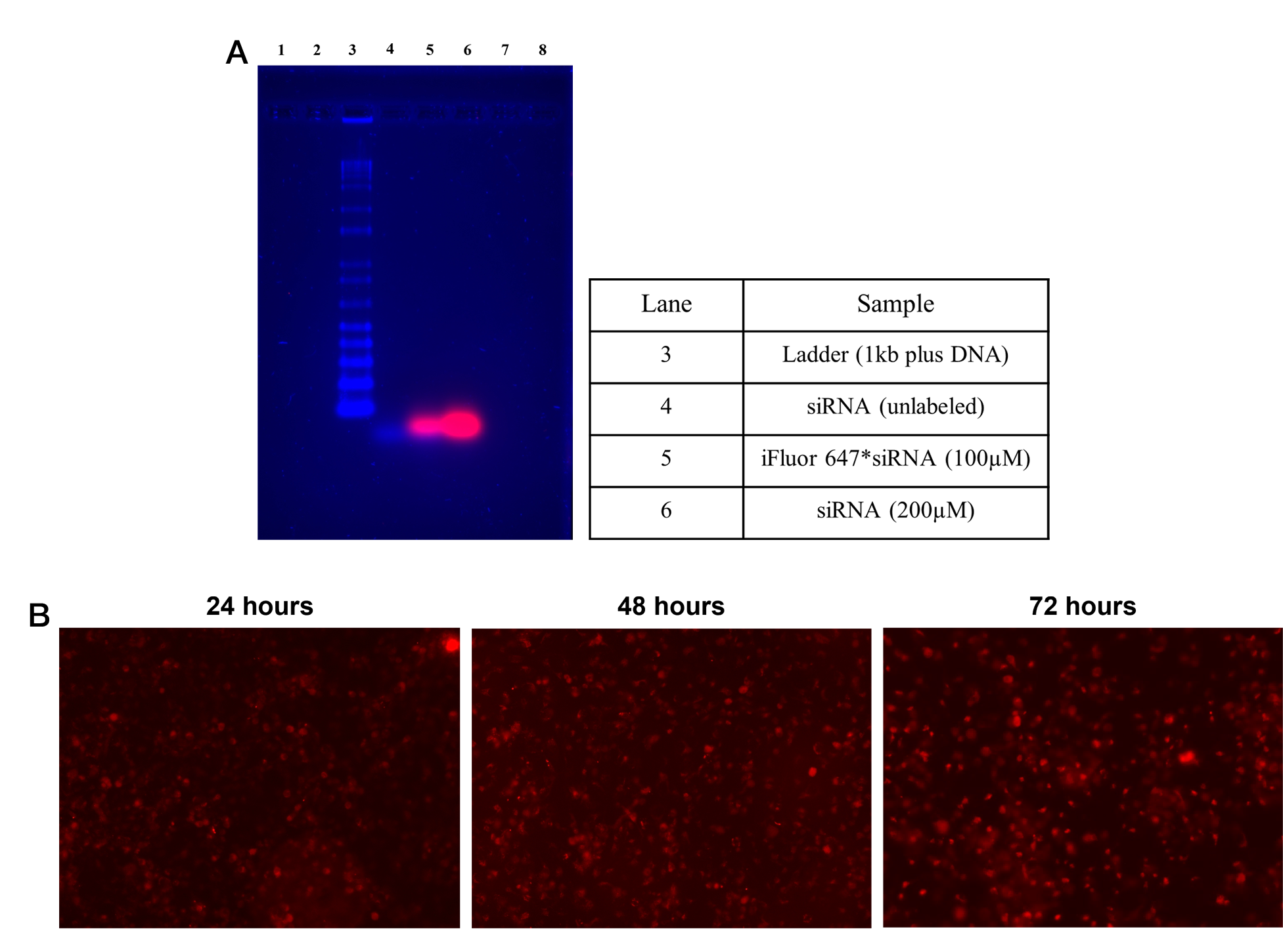 Helixyte™ iFluor® 647 Nucleic Acid Labeling Dye *Optimized for Labeling 100-300 ug DNA/RNA* - AAT Bioquest