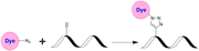 iFluor® 405 azide - AAT Bioquest