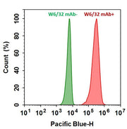 iFluor® 405 goat anti-mouse IgG (H+L) *Cross Adsorbed* - AAT Bioquest