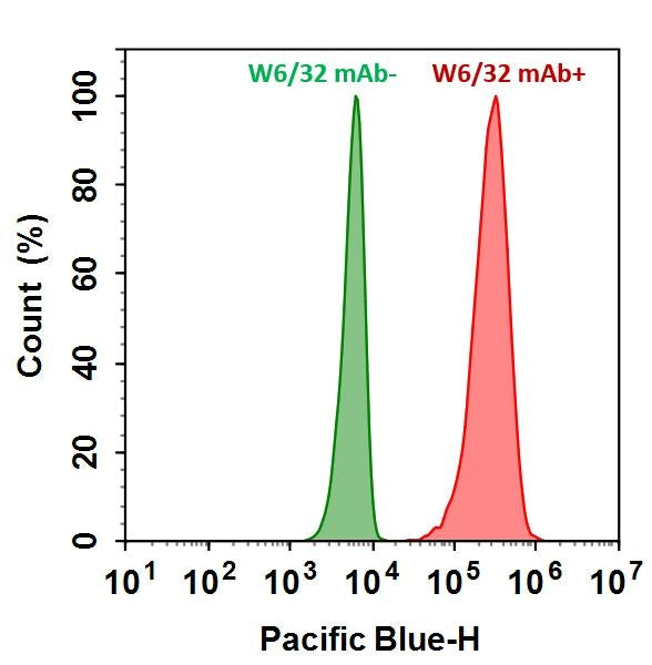 iFluor® 405 goat anti-mouse IgG (H+L) *Cross Adsorbed* - AAT Bioquest