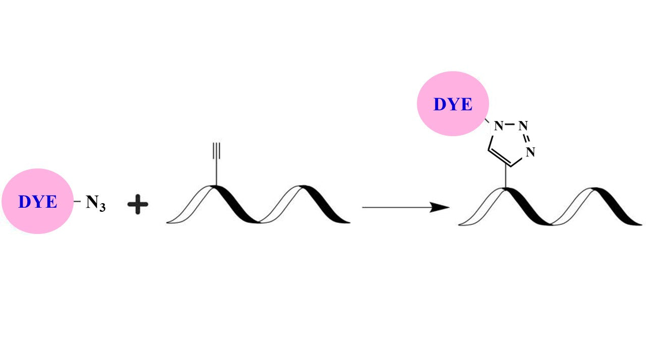 iFluor® 488 azide - AAT Bioquest