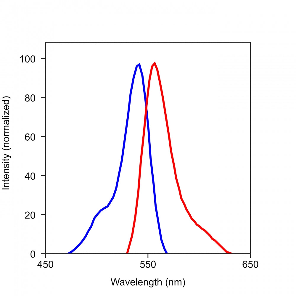 iFluor® 546-streptavidin conjugate - AAT Bioquest