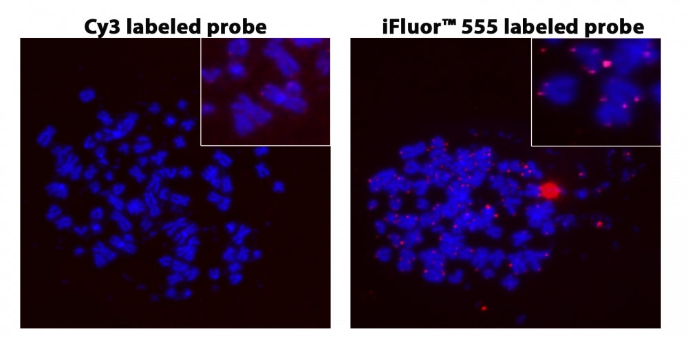 iFluor®555-PEG12-dUTP *1 mM in TE Buffer (pH 7.5)* - AAT Bioquest