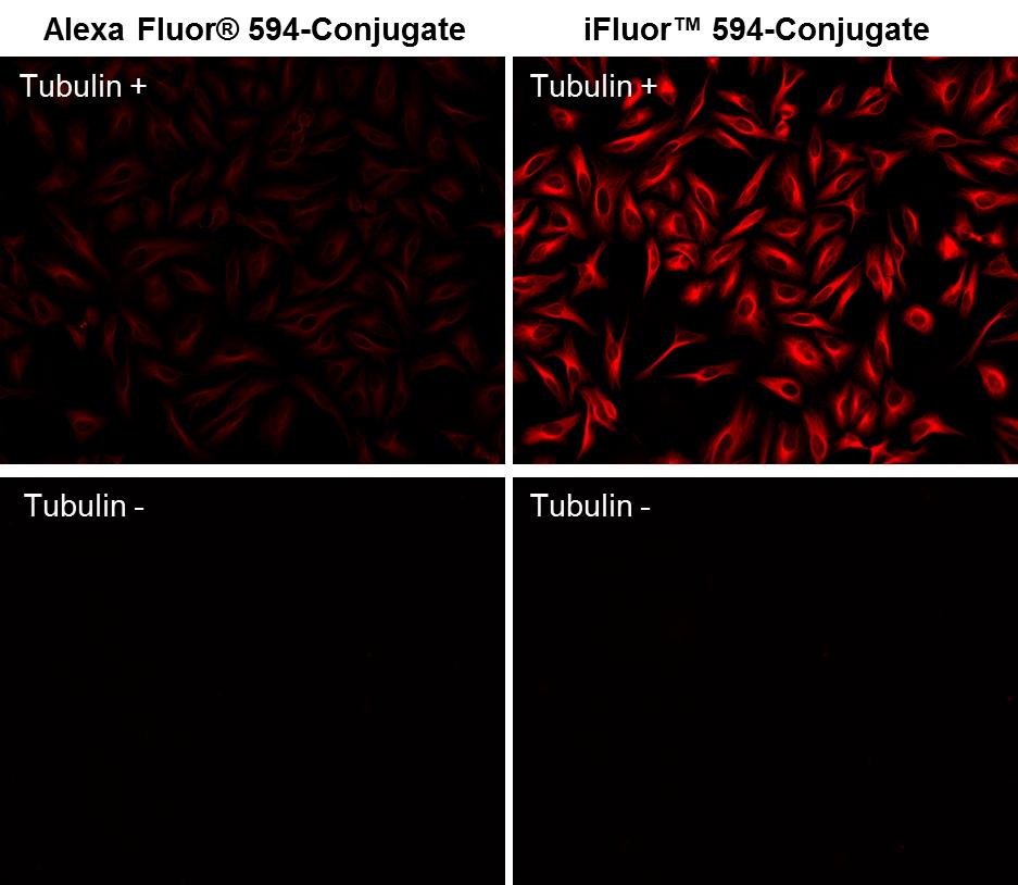 iFluor® 594 maleimide - AAT Bioquest