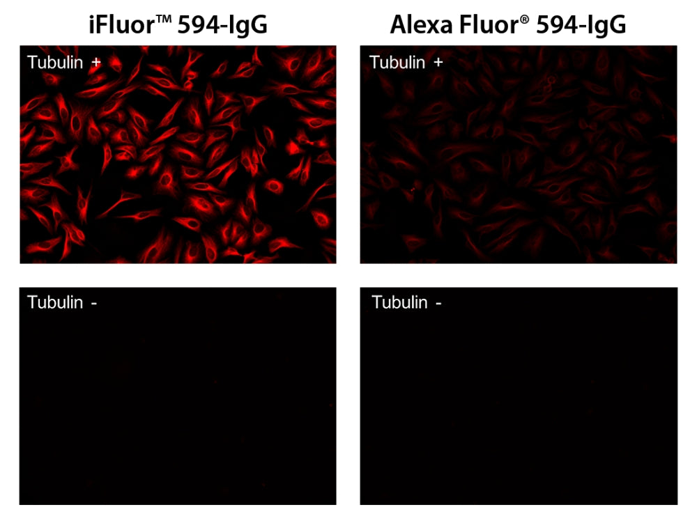 iFluor® 594 succinimidyl ester - AAT Bioquest
