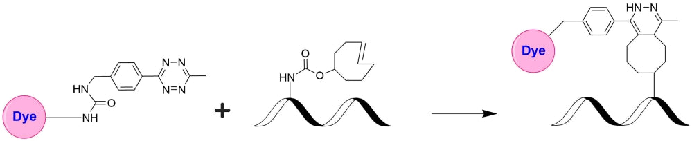 iFluor® 594 Tetrazine - AAT Bioquest
