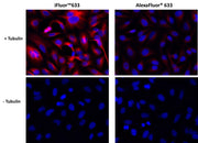 iFluor® 633 succinimidyl ester - AAT Bioquest