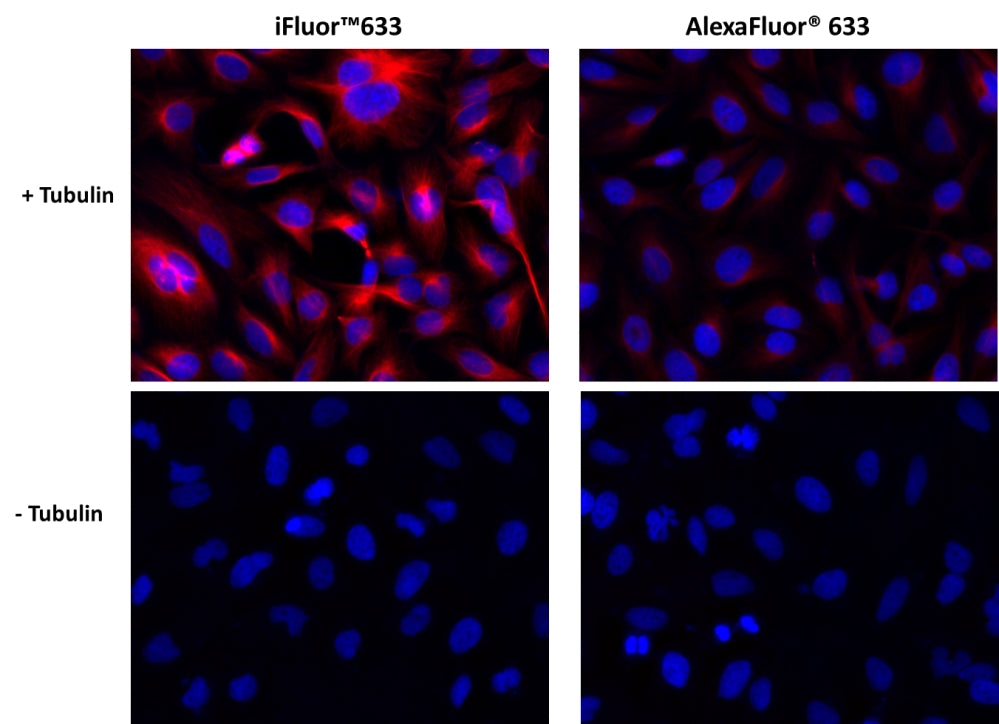 iFluor® 633 succinimidyl ester - AAT Bioquest
