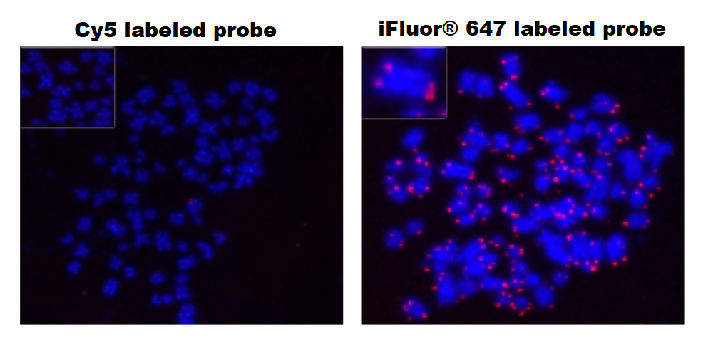 iFluor®647-PEG12-dUTP *1 mM in TE Buffer (pH 7.5)* - AAT Bioquest