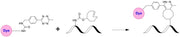 iFluor® 647 Tetrazine - AAT Bioquest