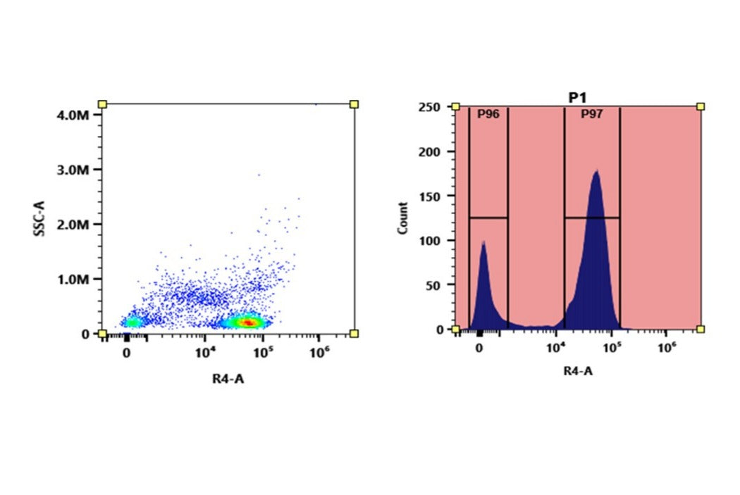 iFluor® 690 succinimidyl ester - AAT Bioquest