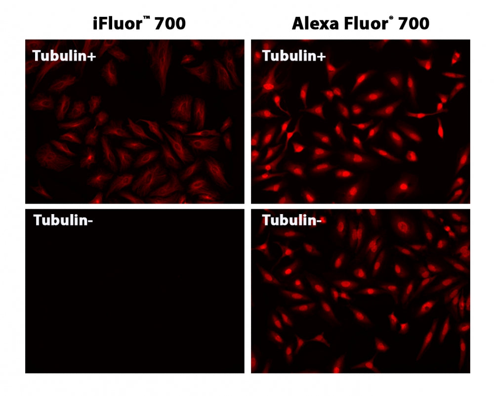 iFluor® 700 succinimidyl ester - AAT Bioquest