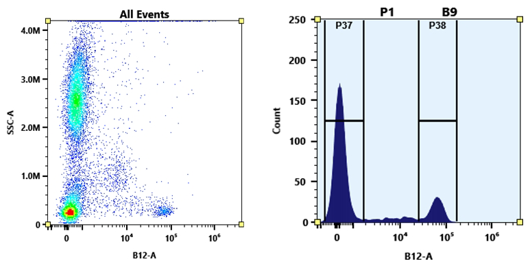 iFluor® 720 maleimide - AAT Bioquest