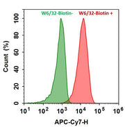 iFluor® 750-streptavidin conjugate - AAT Bioquest