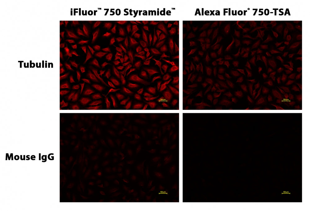 iFluor® 750 Styramide - AAT Bioquest